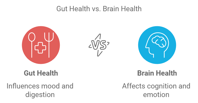 Gut Health vs Brain Health