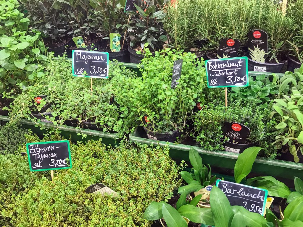 Fresh Herbs Frankfurt, Germany