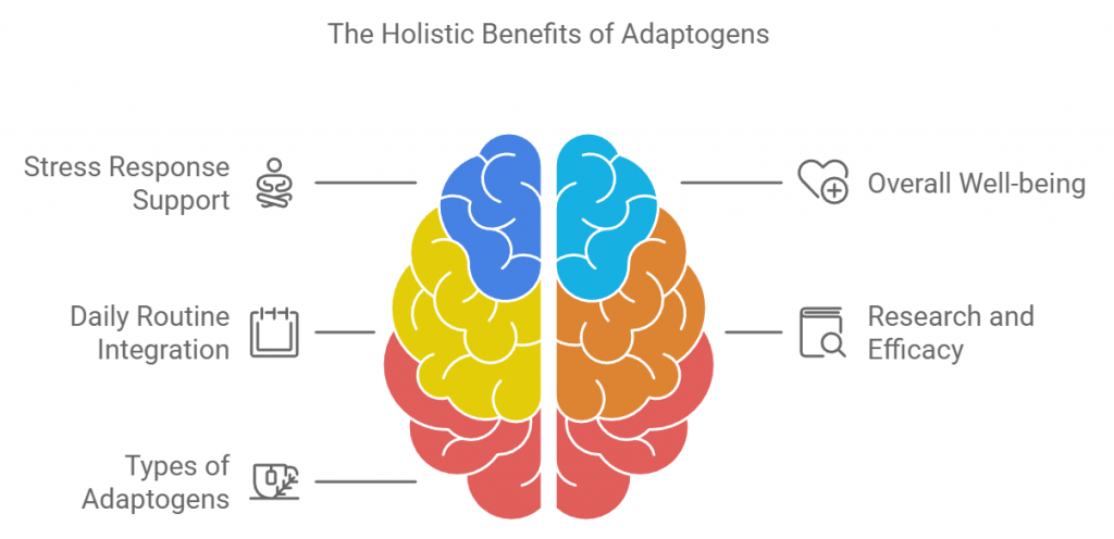 The Holistic Benefits of Adaptogens