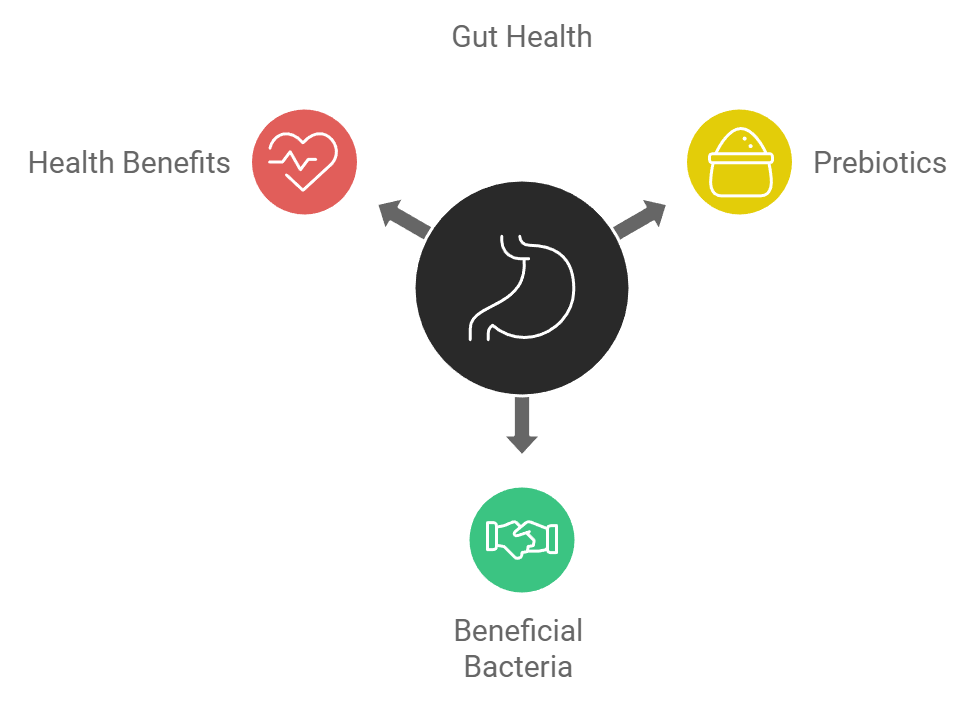 Gut Health