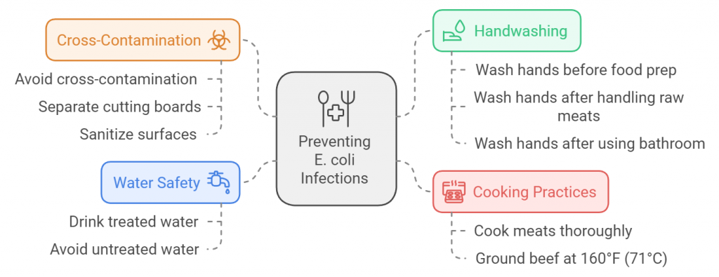 Preventing E. coli Infections