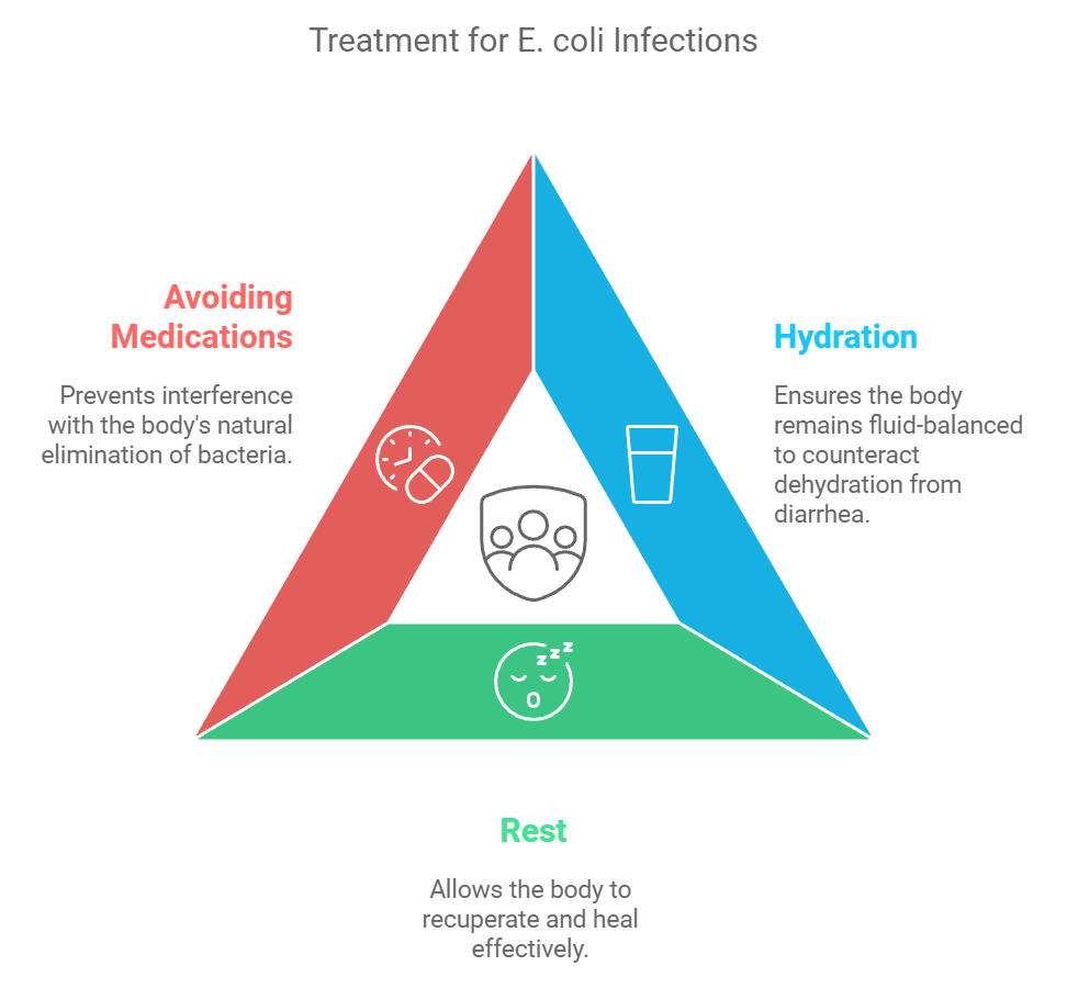 Treatment for E. coli Infections