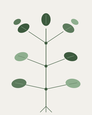 Botanical illustration representing the Electrolytes and Hydration decision guide