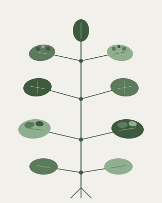 Botanical illustration representing the Hydrating Foods reference guide